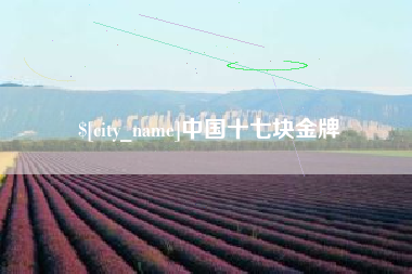 长宁中国十七块金牌