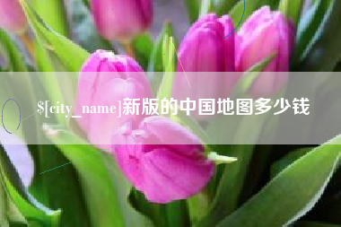 长宁新版的中国地图多少钱
