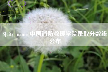 长宁中国消防救援学院录取分数线公布