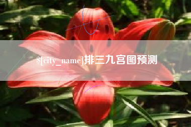 长宁排三九宫图预测