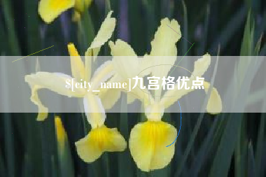 长宁九宫格优点