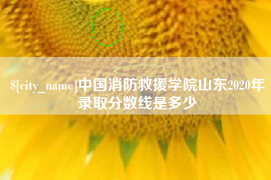 长宁中国消防救援学院山东2020年录取分数线是多少