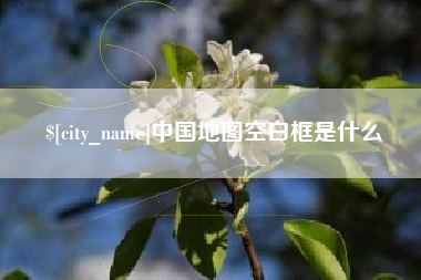 长宁中国地图空白框是什么