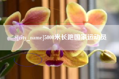 长宁5000米长跑国家运动员