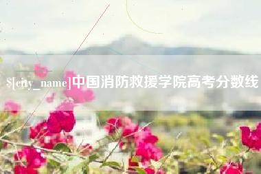 长宁中国消防救援学院高考分数线