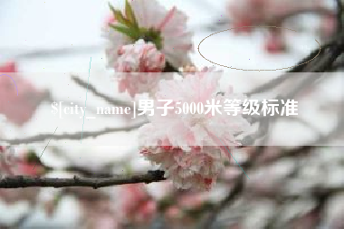 长宁男子5000米等级标准