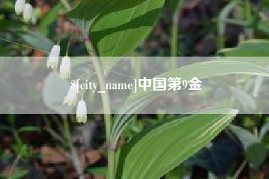长宁中国第9金