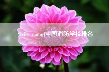长宁中国消防学校排名