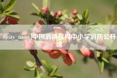长宁中国消防官网中小学消防公开课