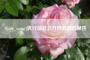 长宁执行信息公开网查到的案件