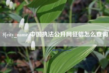 长宁中国执法公开网征信怎么查询