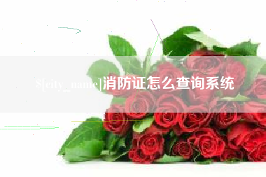 长宁消防证怎么查询系统