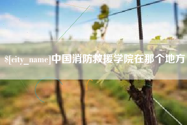 长宁中国消防救援学院在那个地方