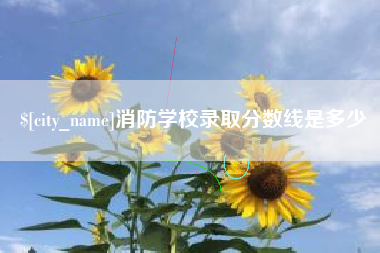 长宁消防学校录取分数线是多少