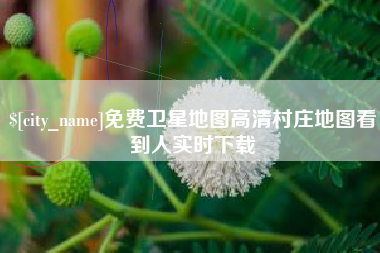 长宁免费卫星地图高清村庄地图看到人实时下载