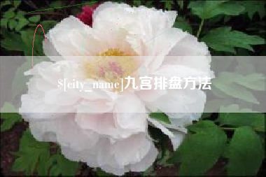 长宁九宫排盘方法