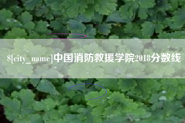 长宁中国消防救援学院2018分数线