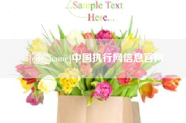 长宁中国执行网信息官网