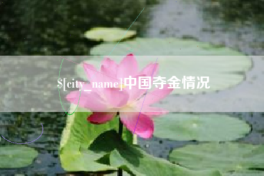长宁中国夺金情况