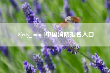 长宁中国消防报名入口