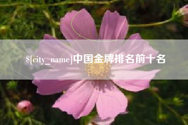 长宁中国金牌排名前十名