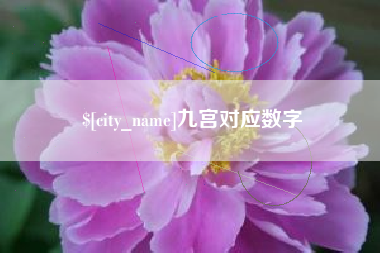 长宁九宫对应数字