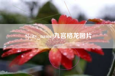 长宁九宫格龙图片