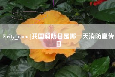 长宁我国消防日是哪一天消防宣传日