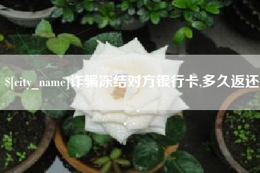 长宁诈骗冻结对方银行卡,多久返还