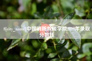 长宁中国消防救援学院2019年录取分数线