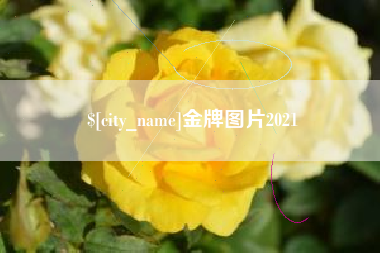 长宁金牌图片2021