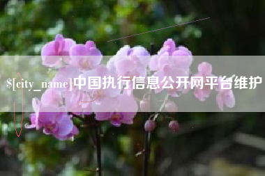 长宁中国执行信息公开网平台维护