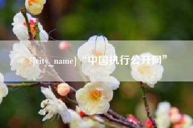 长宁“中国执行公开网”