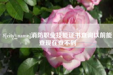 长宁消防职业技能证书查询以前能查现在查不到