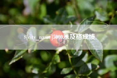 长宁5000米及格成绩