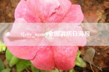 长宁全国消防日海报