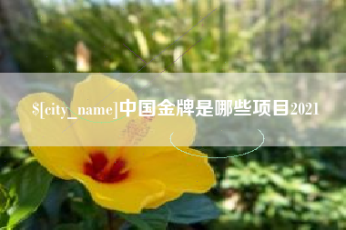长宁中国金牌是哪些项目2021