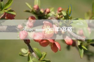 长宁2021年9宫格