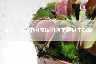 长宁中国救援消防学院招生简章