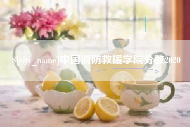 长宁中国消防救援学院分数2020