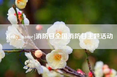 长宁消防日全国消防日主题活动
