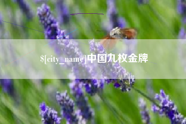 长宁中国九枚金牌