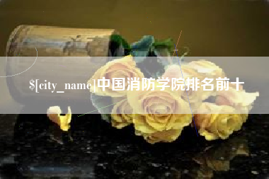 长宁中国消防学院排名前十