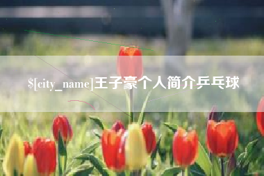 长宁王子豪个人简介乒乓球