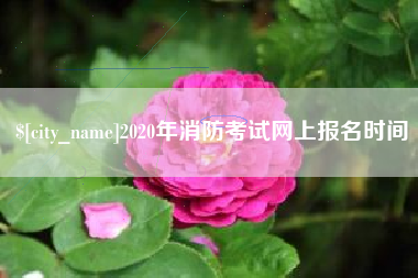 长宁2020年消防考试网上报名时间