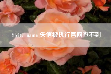 长宁失信被执行官网查不到