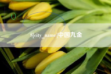 长宁中国九金