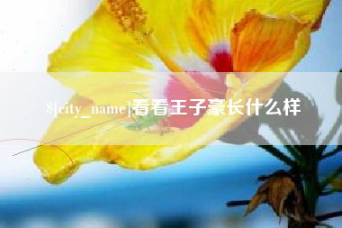 长宁看看王子豪长什么样