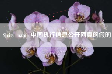 长宁中国执行信息公开网真的假的