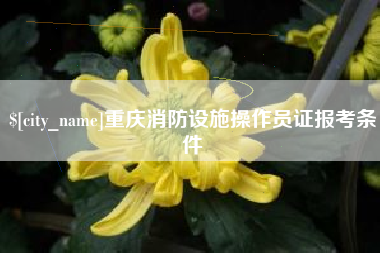 长宁重庆消防设施操作员证报考条件